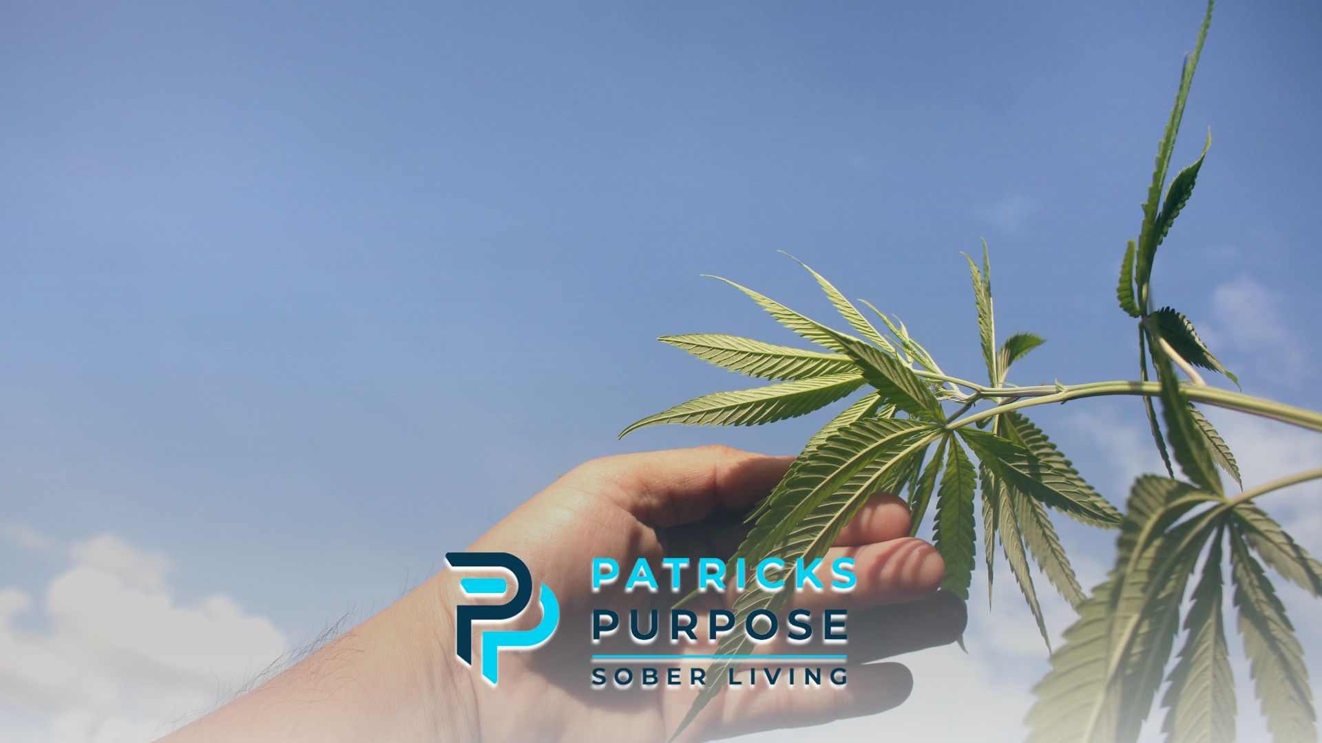 Adult Child in Cannabis-Friendly Recovery