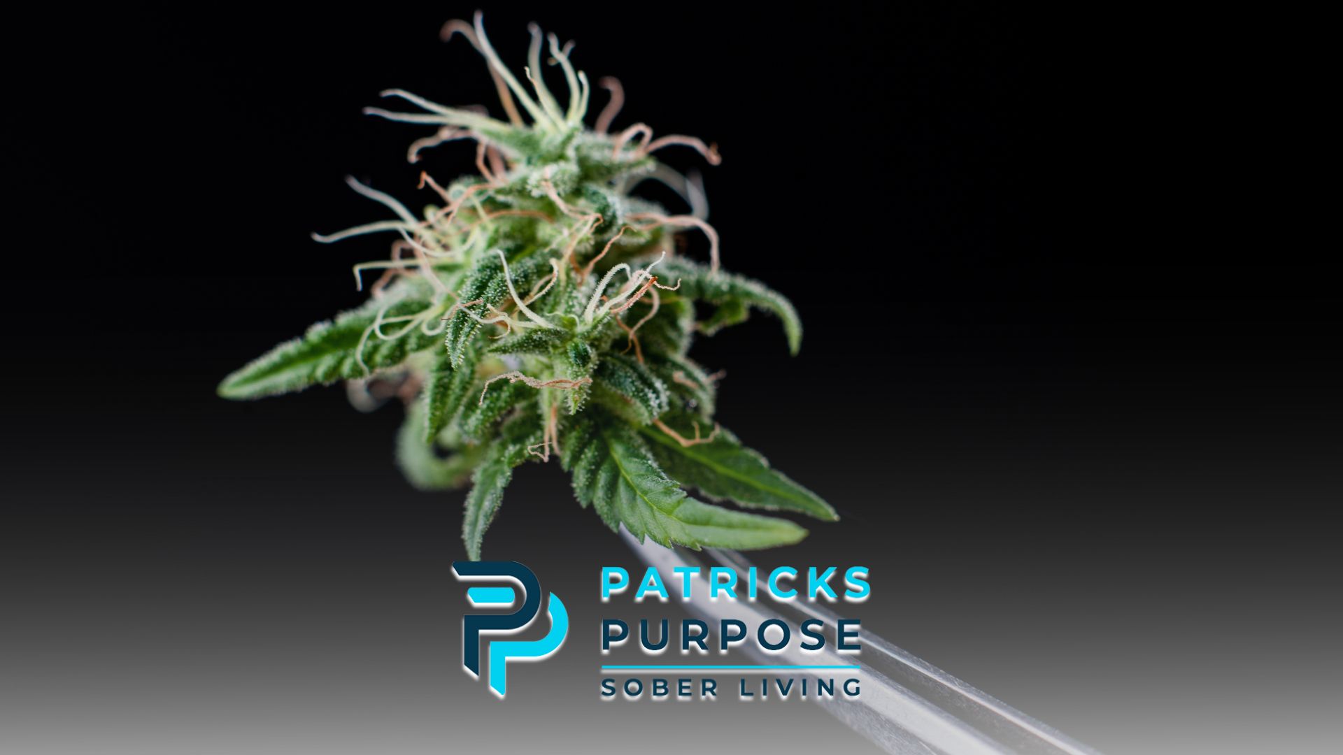 Medical Cannabis